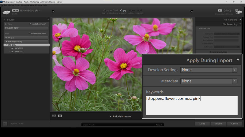 Adding keywords during import in Lightroom