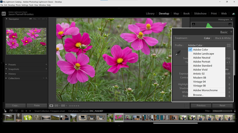 Color Profiles in Lightroom Classic