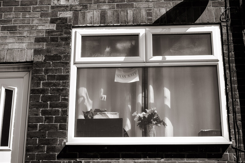 A cat looking through a living room window.
