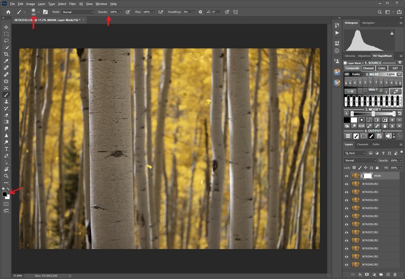 brush-settings