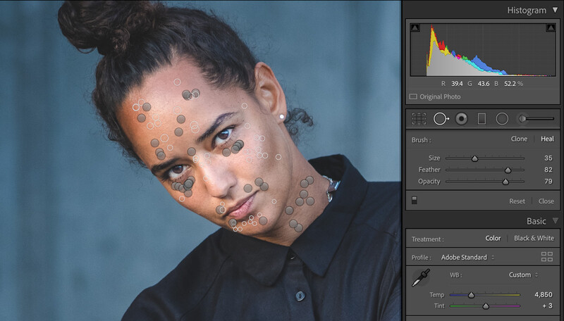 Lightroom Spot Removal tool