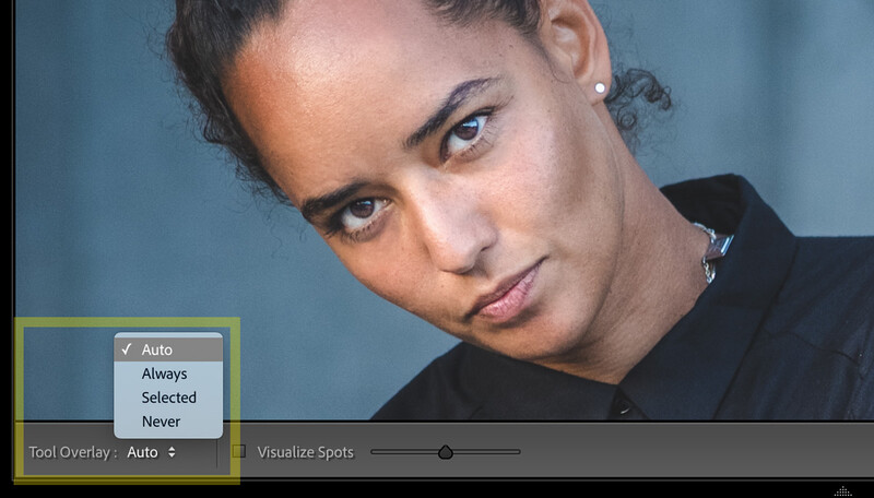 Lightroom Spot Removal tool - change overlay