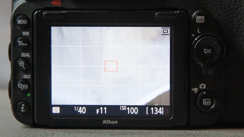 Grid overlay on back of camera