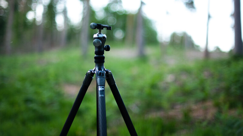 Tripod set up in forest
