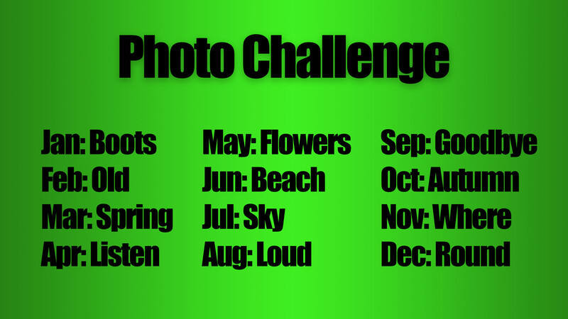 Monthly photo challenges