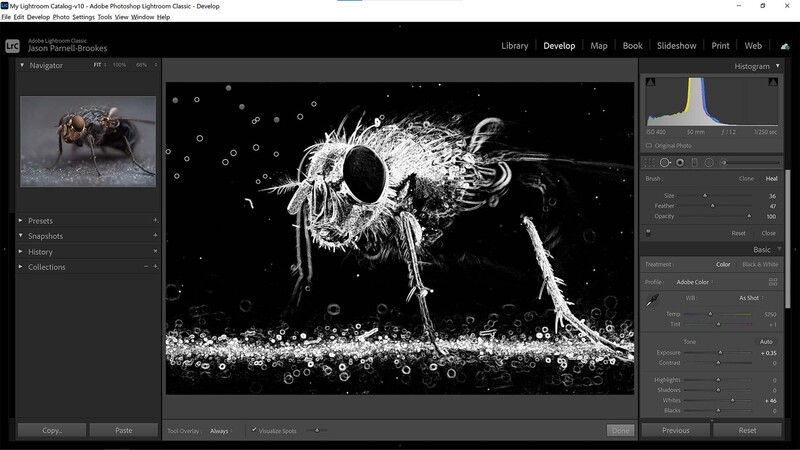 Visualize spots feature in lightroom