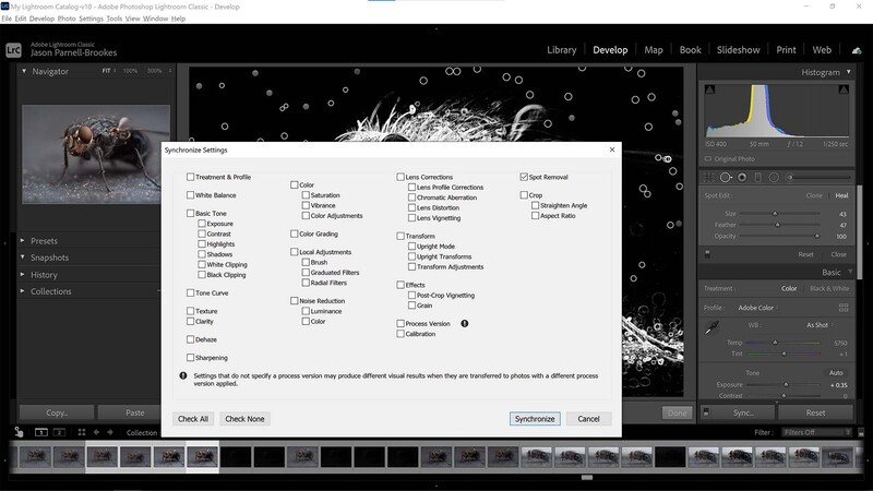 Synchronize your spot removal edits