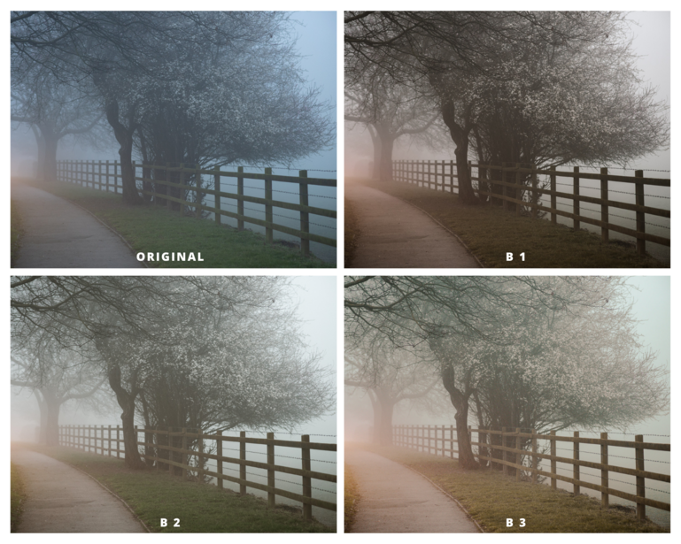 A four image collage of a misty evening.