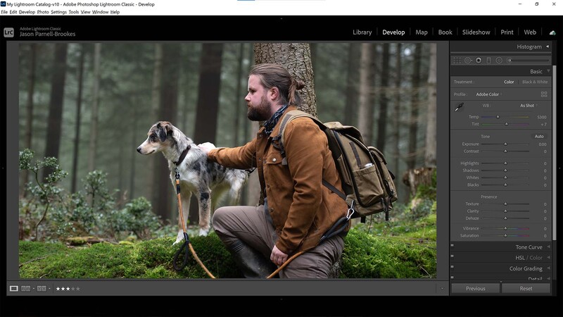 Highlights too bright in scene