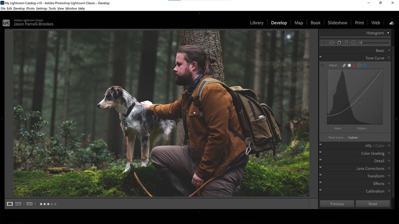 Tone curve adjustment to blacks