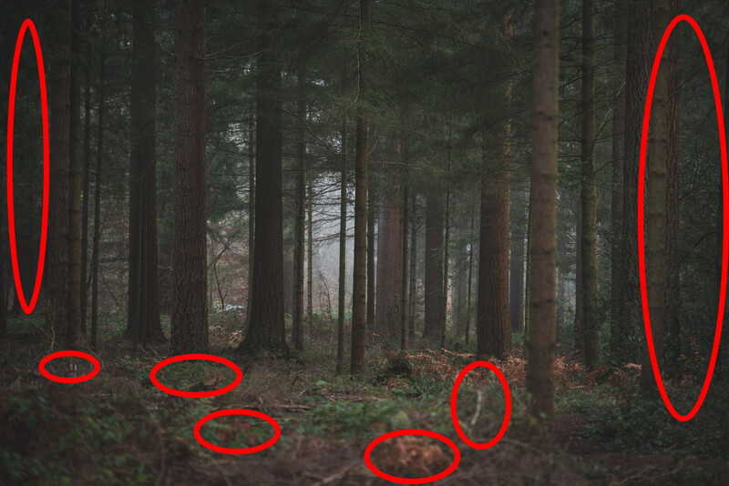 Distractions in the frame of the photo