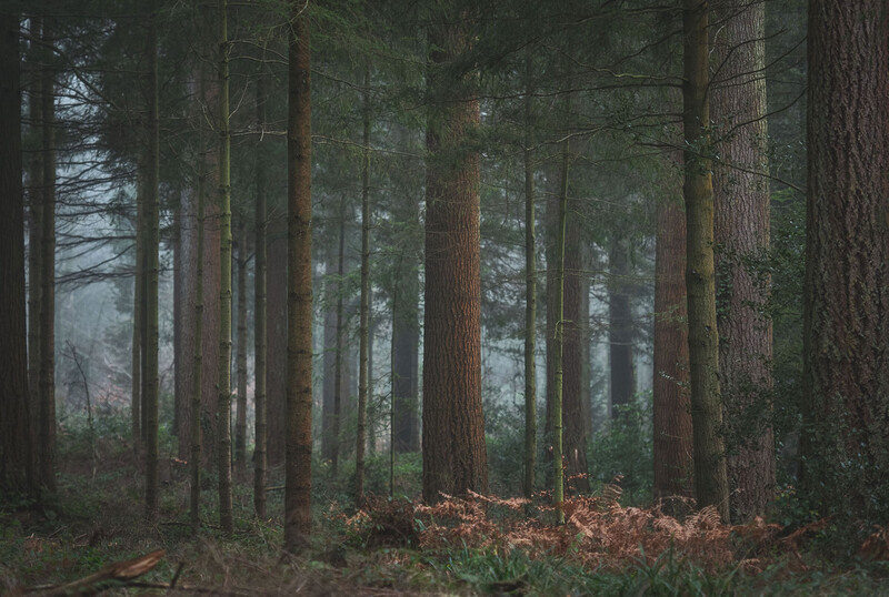 Zoomed in frame in scene