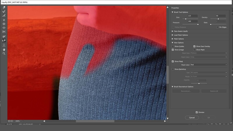Thaw mask tool in photoshop