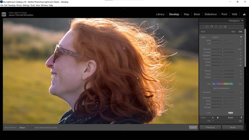Adjustment brush on the hair in Lightroom