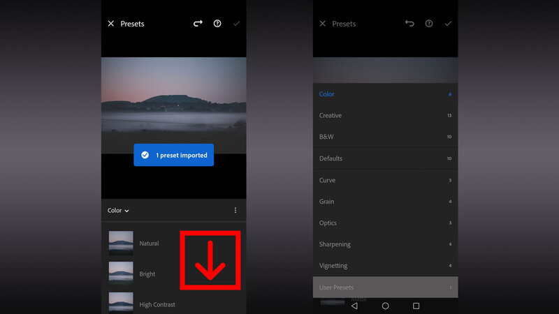 Apply the preset in Lightroom Mobile