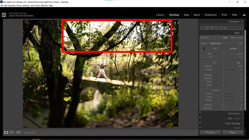 Problem areas in the photo