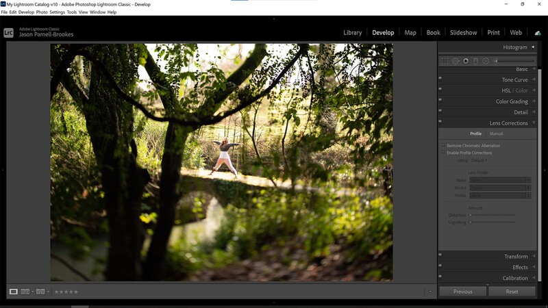 Lens corrections panel in Lightroom classic