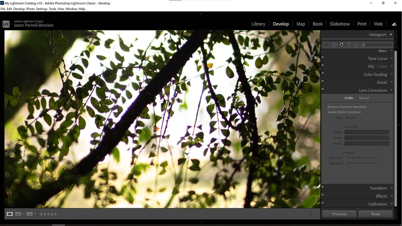 Chromatic aberration on foliage