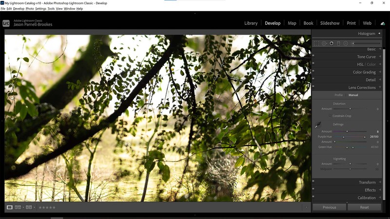 Color fringing eliminated in Lightroom