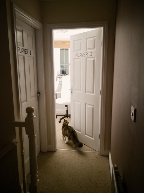 A cat entering a room.