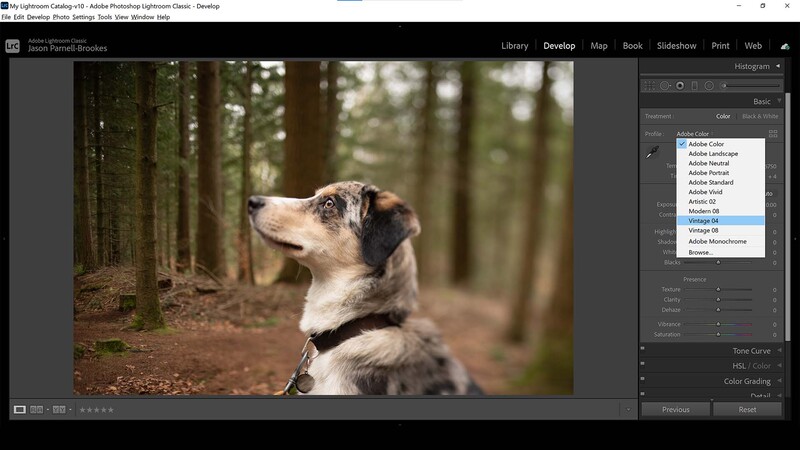 Vintage preset in lightroom