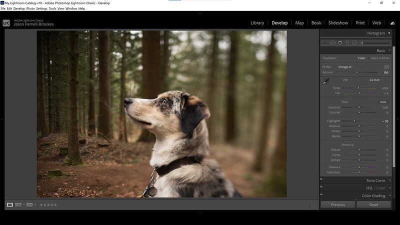 Tone down highlights in lightroom