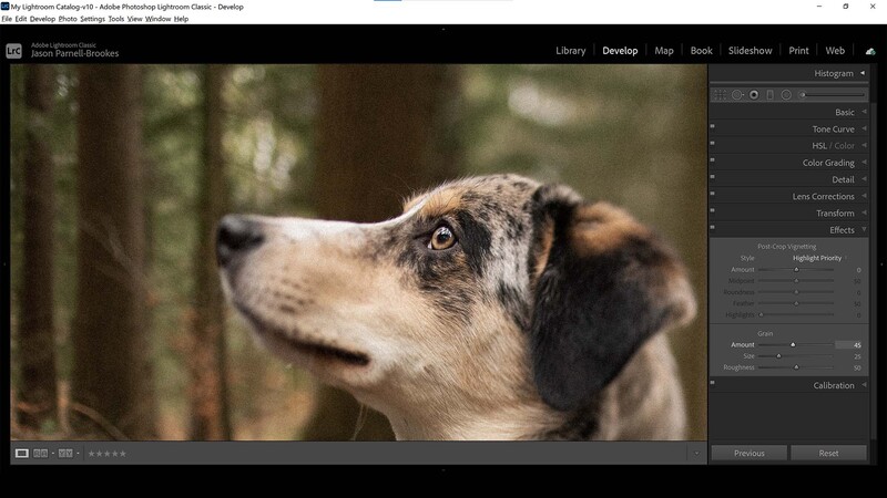 Add grain in lightroom