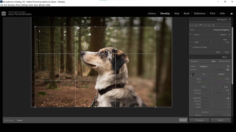 Crop down in lightroom
