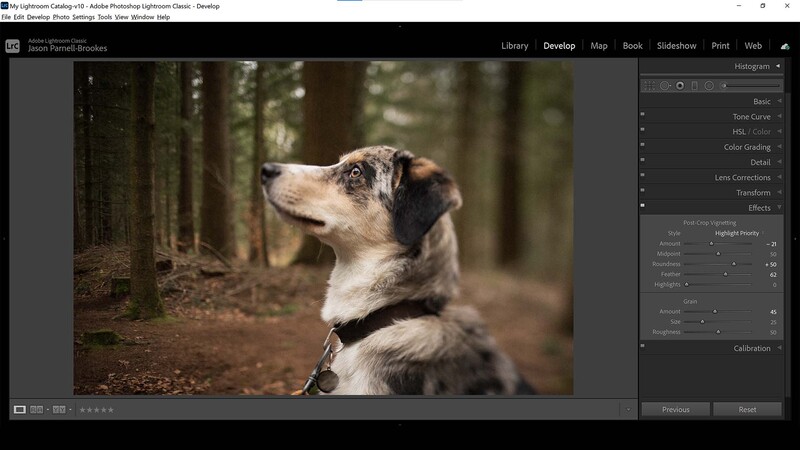Add a vignette in lightroom