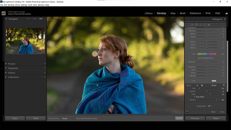Adjustment brush in lightroom