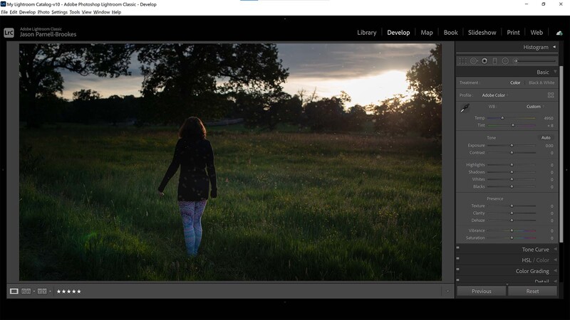 Analyze the photo in Lightroom