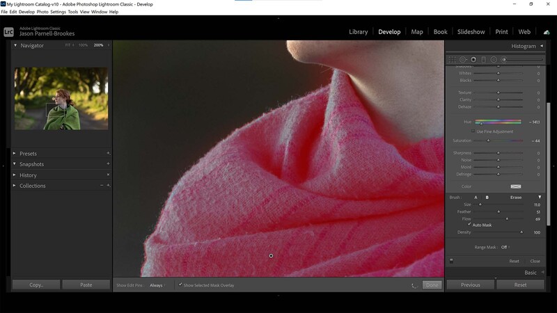View mask overlay in lightroom