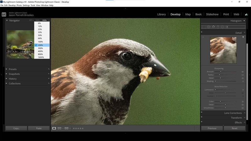 Zoom in in Lightroom