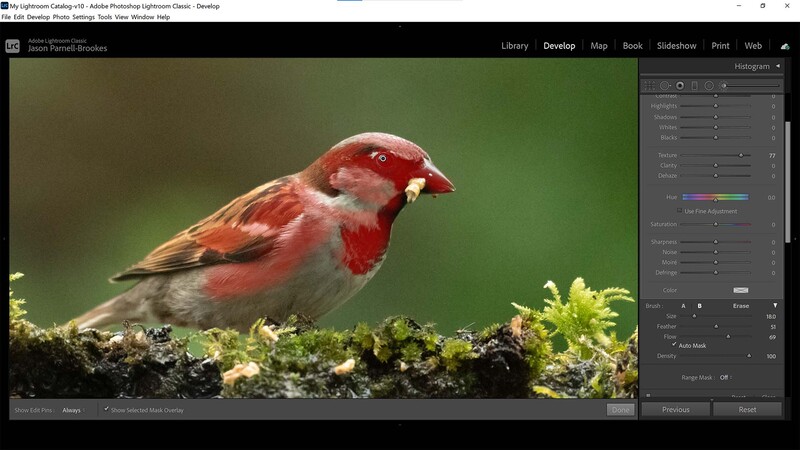 Zoom out in lightroom