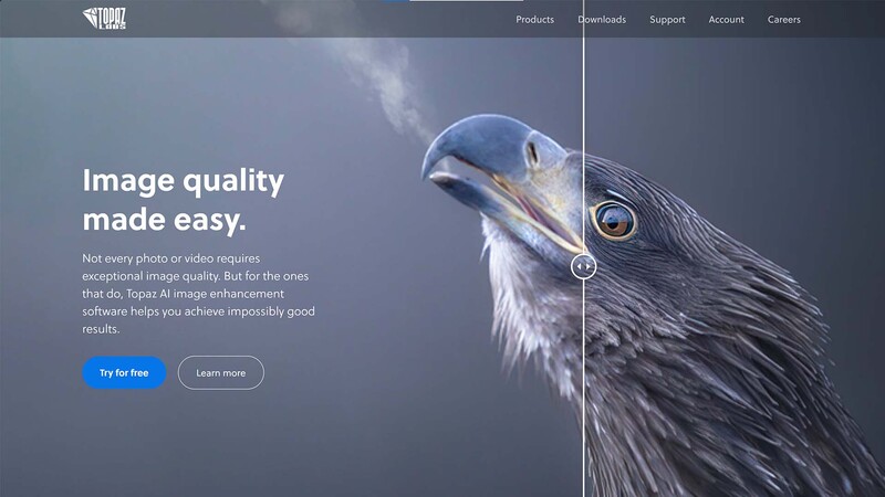 Topaz labs website
