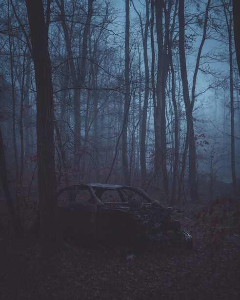 Find weird things. Photo by Andy Day.