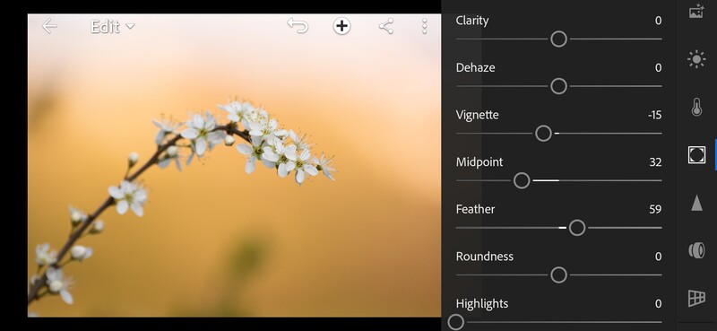 Vignette darkens edges