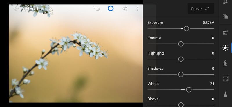 Whites slider boost