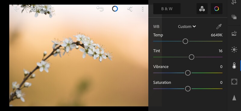 White balance correction