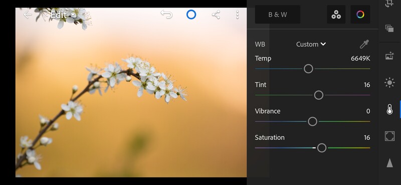 Enhance saturation slider