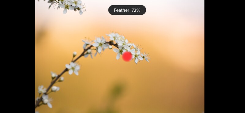 Healing brush feather change
