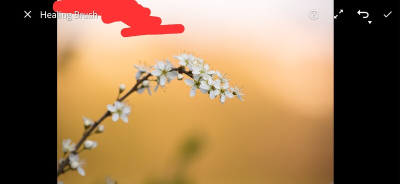Overlay for healing brush