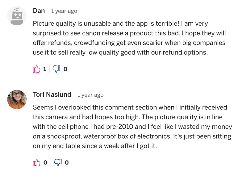 Screengrab from IVY REC IndieGoGo page.