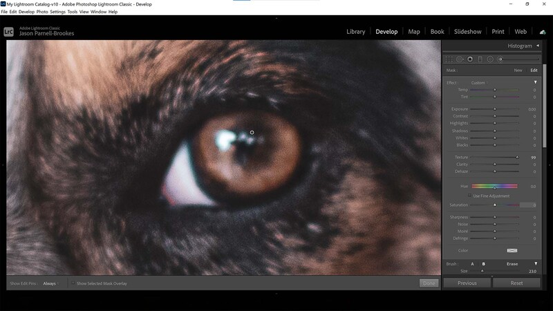 Texture slider on adjustment brush