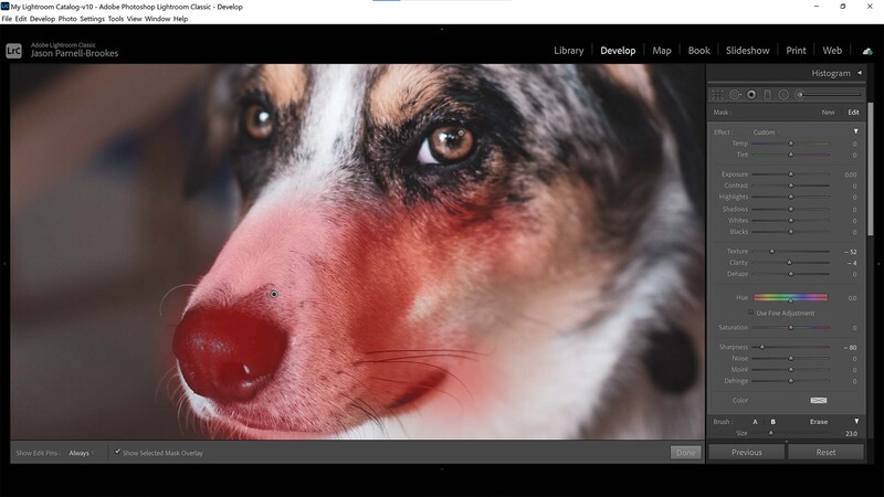Blur your photo with the adjustment brush