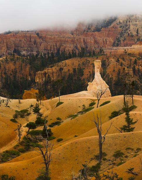 bryce canyon rainy day