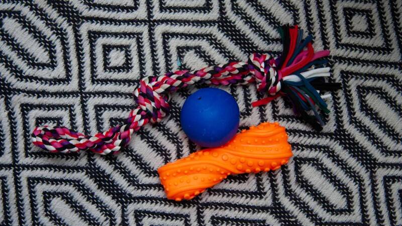 Treats and toys for pets