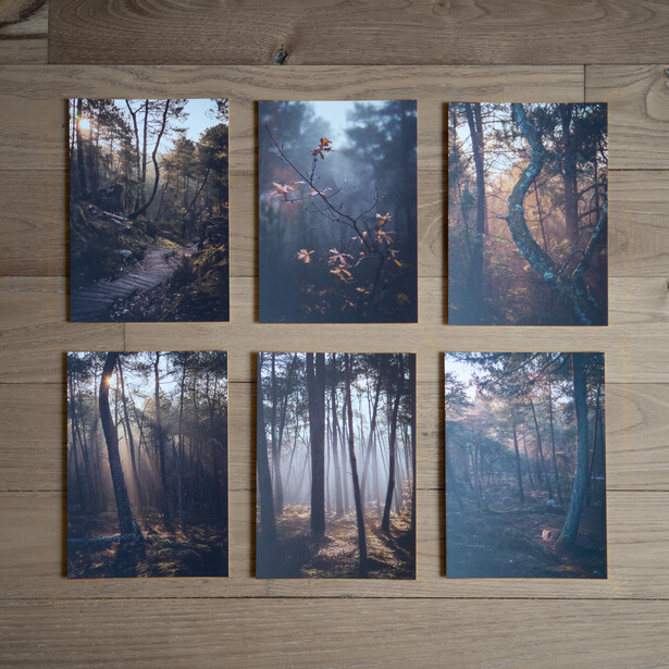 Andy Day postcard bundle flatlay