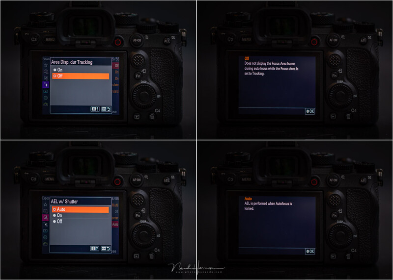 Although the menu is improved, it still has cryptic abbreviations. The help function isn't helping is some occasions.