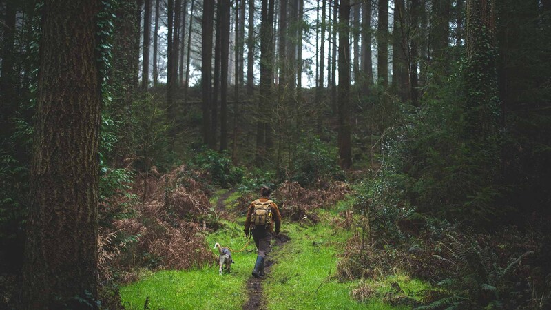 Man in forest with dog